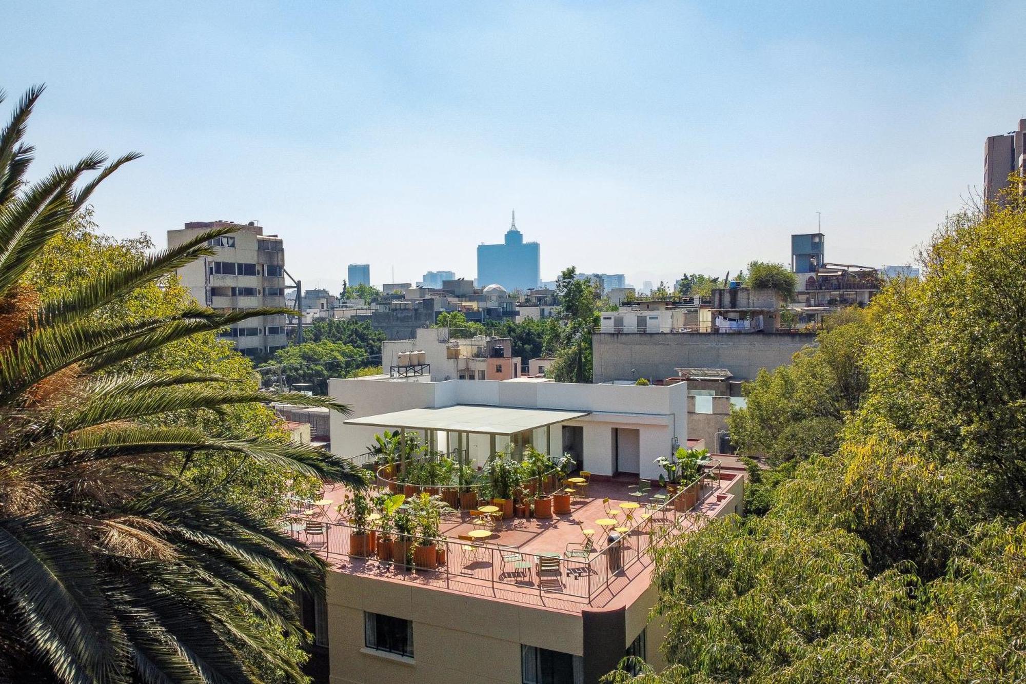 Nido Condesa — Photos 3